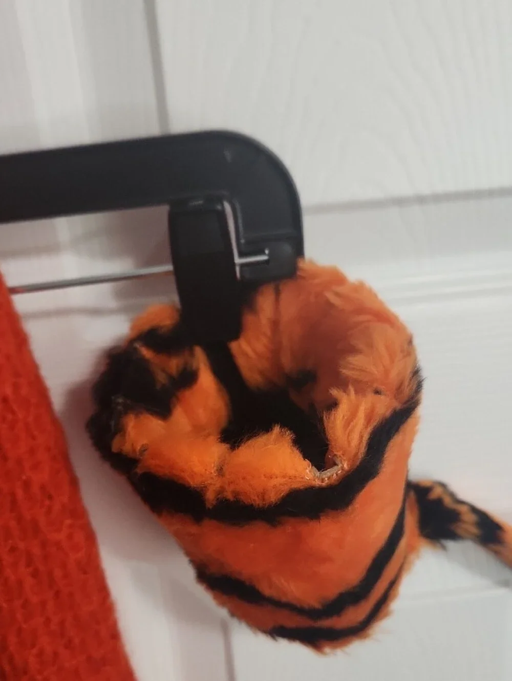 N/A cincinnati bengals